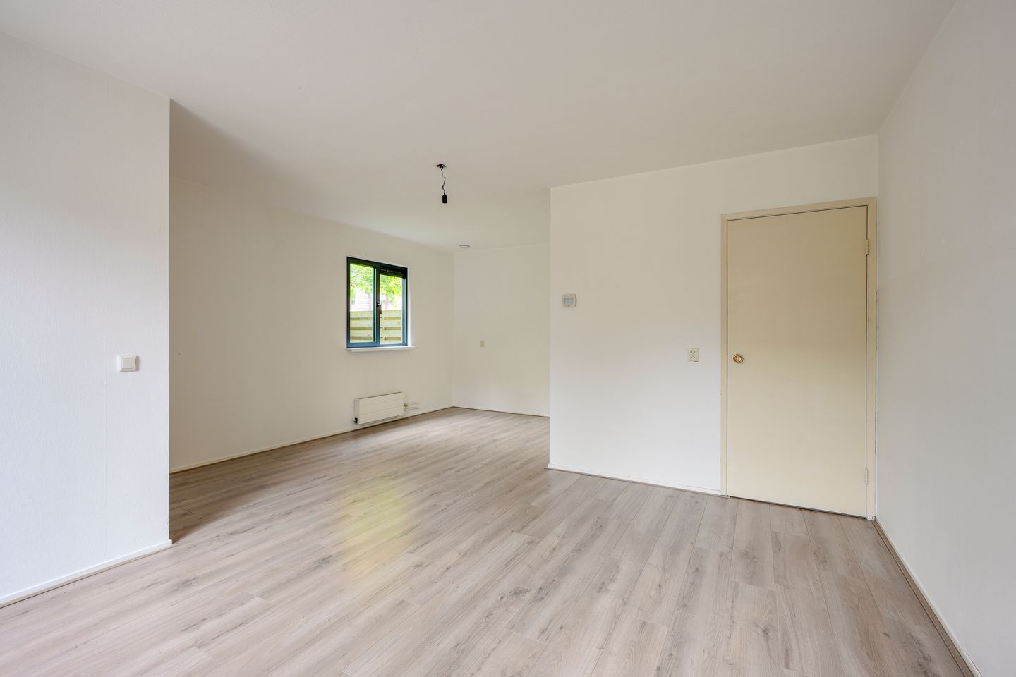 Houtduif 1