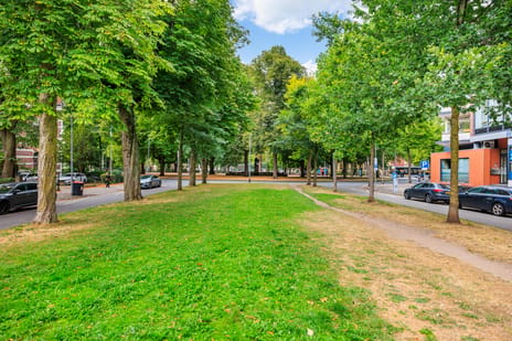 Hereplein 15
