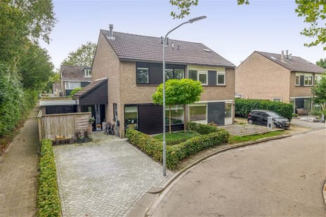 Lingestraat 25