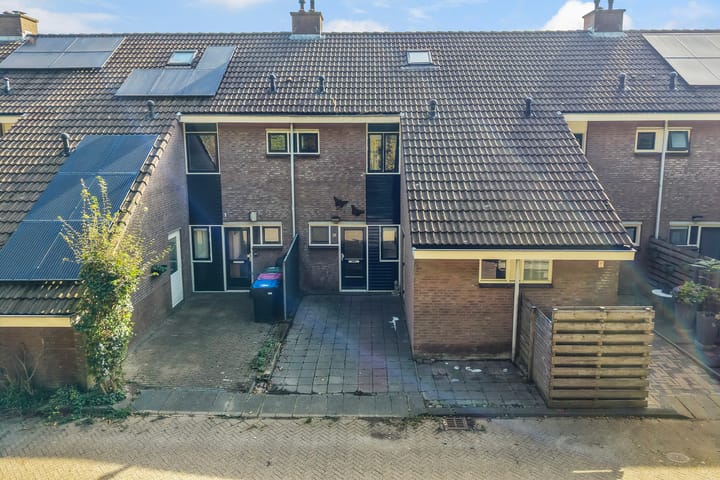 van Wageningenstraat 31