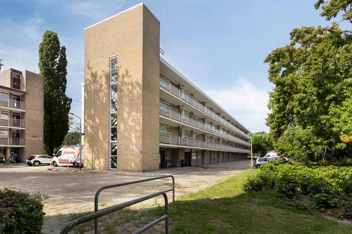 Malvert 6359