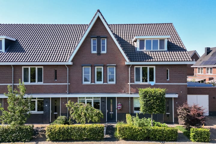 Zwarte Roodstaart 2