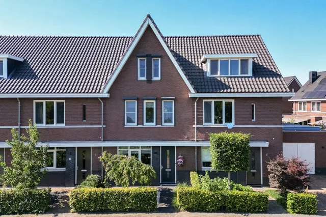 Zwarte Roodstaart 2