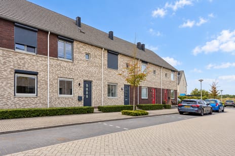 Stormramruwe 10