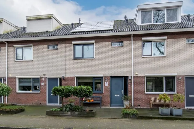 Vliegezwam 96