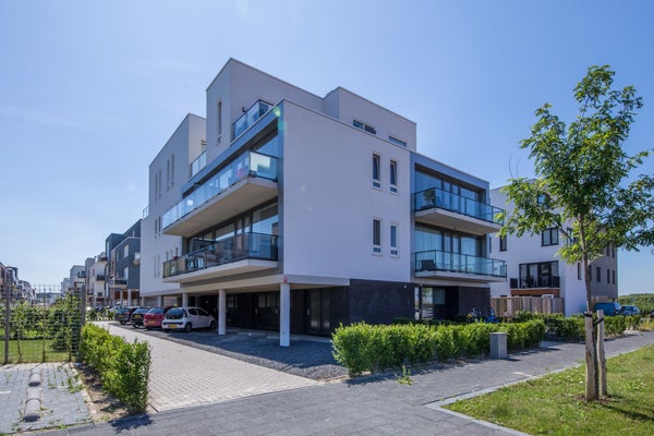 Adriaen Blockstraat 114
