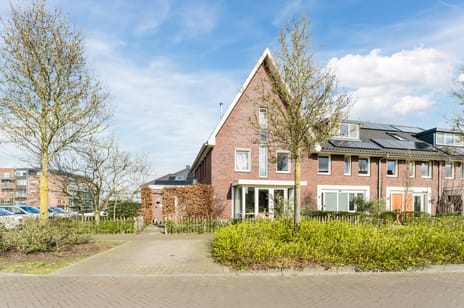Zijdevlinder 117