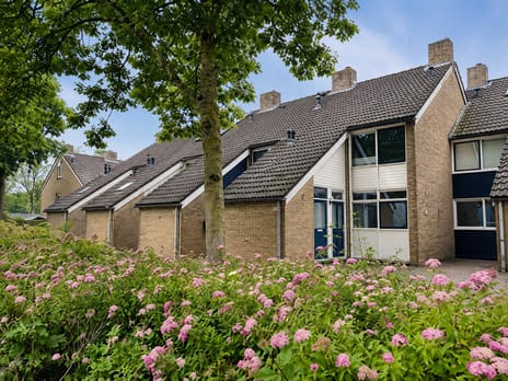 Zuiderweg 271