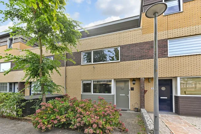 Koolzaadveld 12