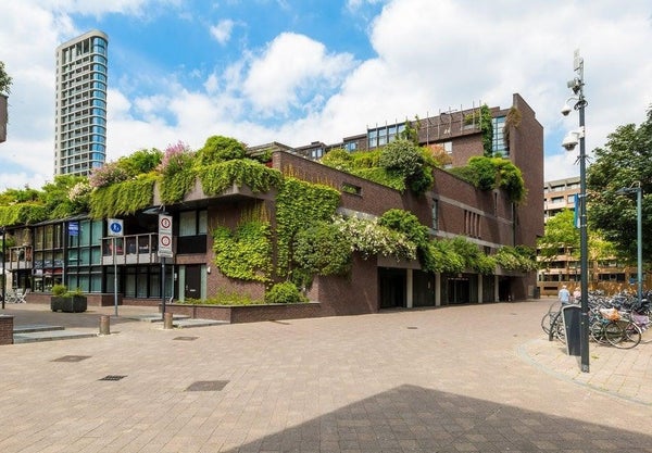 Vestdijk