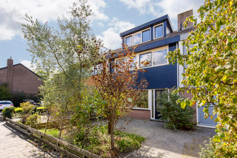 Duiveland 38