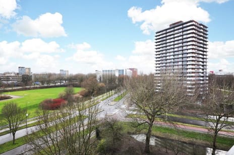 Stadhoudersring 252