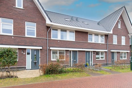Vogelkers 14