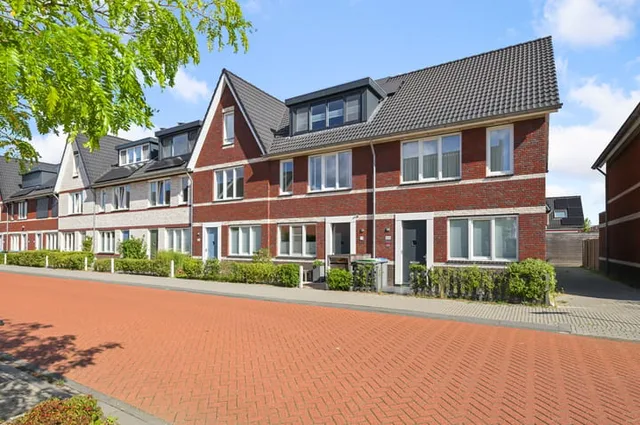 Knobbelzwaan 102