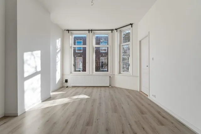 Van Loostraat 115