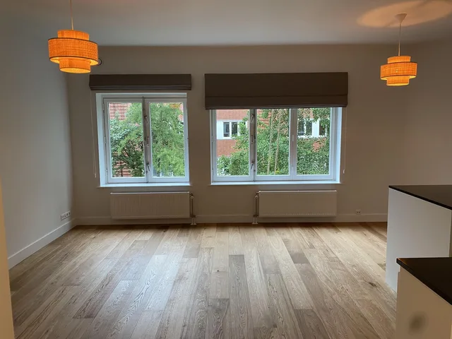 Cornelis Springerstraat