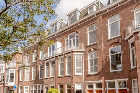 Van Loostraat 36