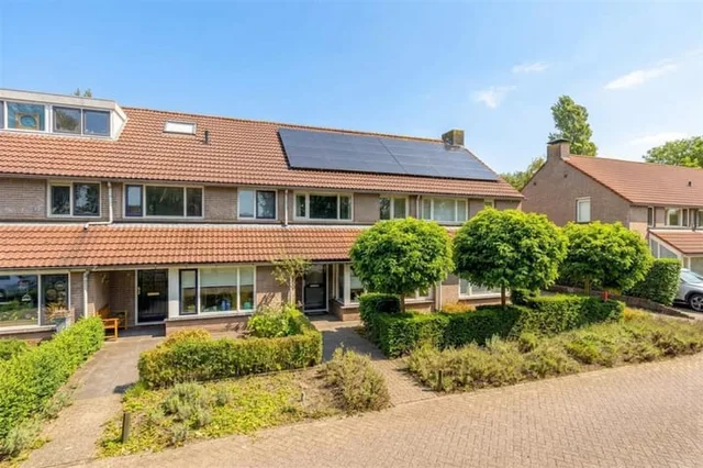 Goudplevier 31